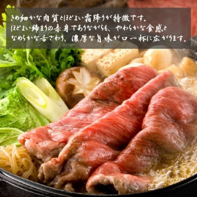 【A4等級以上】宮崎牛おためしすき焼き 500g×2P(DAS068)(小林市)