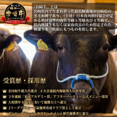 【A4等級以上】宮崎牛おためしすき焼き 500g×2P(DAS068)(小林市)