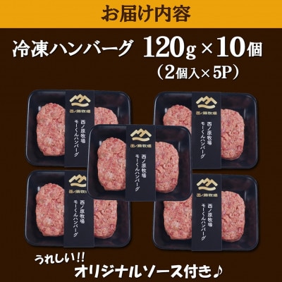 【自社ブランド黒毛和牛100%使用】宮崎県産モーくんハンバーグ 10個 (EAS101)(小林市)