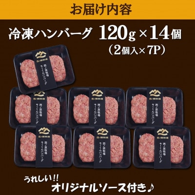 【自社ブランド黒毛和牛100%使用】宮崎県産モーくんハンバーグ 14個 (EAS102)(小林市)