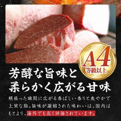 【宮崎県西ノ原牧場直送】A4等級以上宮崎牛リブアイステーキ 800g(E094)(小林市)