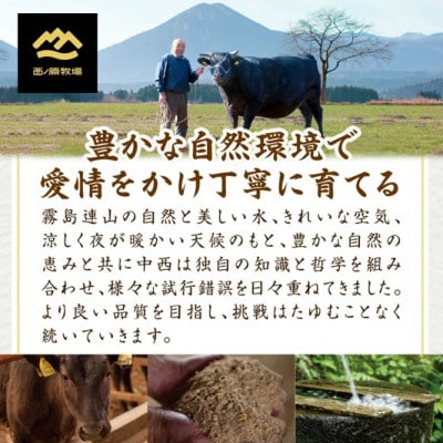 【宮崎県西ノ原牧場直送】A4等級以上宮崎牛リブアイステーキ 800g(E094)(小林市)