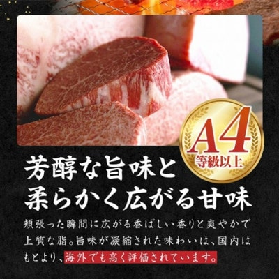 【宮崎県西ノ原牧場直送】宮崎ブランド和牛なかにし和牛リブアイステーキ 800g(E123)(小林市)