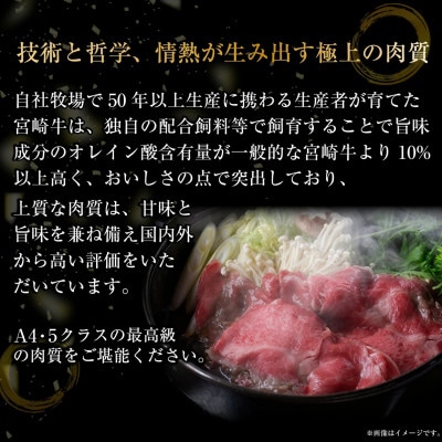 【宮崎県西ノ原牧場直送】A4等級以上宮崎牛霜降りすき焼きロース 600g(E099)(小林市)