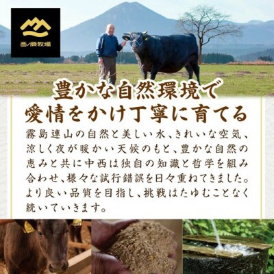 宮崎県西ノ原牧場・なかにし和牛カルビ焼肉 1.2kg(E129)(小林市)