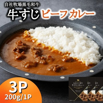 【宮崎県西ノ原牧場】宮崎県黒毛和牛 牛すじ ビーフカレー 3P(E116)(小林市)