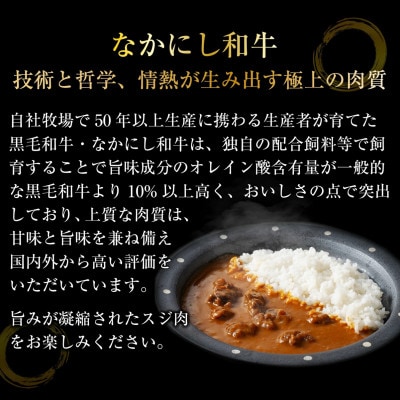【宮崎県西ノ原牧場】宮崎県黒毛和牛 牛すじ ビーフカレー 3P(E116)(小林市)