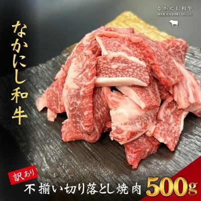 【宮崎県西ノ原牧場直送】なかにし和牛訳あり不揃い切り落とし焼肉 500g(E110)(小林市)