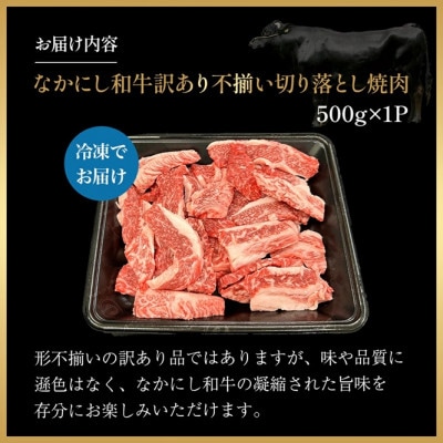 【宮崎県西ノ原牧場直送】なかにし和牛訳あり不揃い切り落とし焼肉 500g(E110)(小林市)