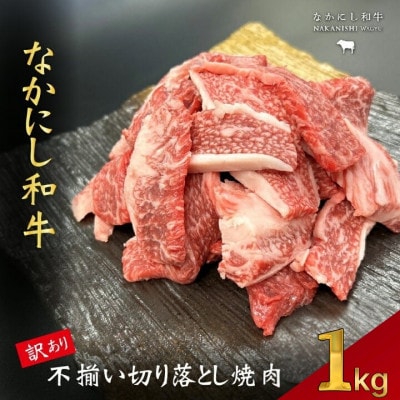 【宮崎県西ノ原牧場直送】なかにし和牛訳あり不揃い切り落とし焼肉 1kg(E111)(小林市)