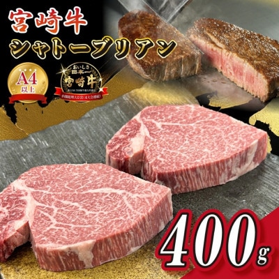【宮崎県西ノ原牧場直送】A4等級以上宮崎牛シャトーブリアン 400g(E091)(小林市)