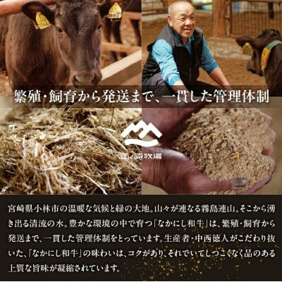 【宮崎県西ノ原牧場直送】A4等級以上宮崎牛食べ比べしゃぶしゃぶ600g(EAS054)(小林市)