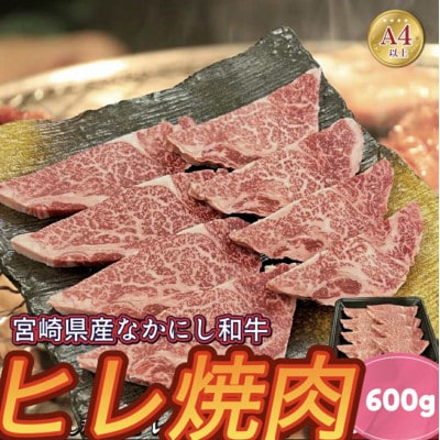 宮崎県西ノ原牧場・なかにし和牛ヒレ焼肉用 600g(E176)(小林市)