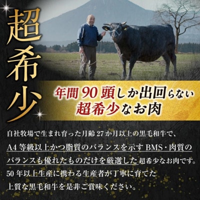 宮崎県西ノ原牧場・なかにしプレミアム和牛ヒレ焼肉用 300g(E177)(小林市)