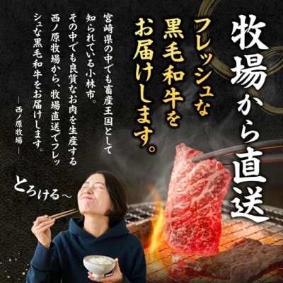 宮崎県西ノ原牧場・なかにしプレミアム和牛ヒレ焼肉用 300g(E177)(小林市)