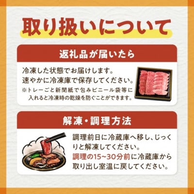 宮崎県西ノ原牧場・なかにしプレミアム和牛ヒレ焼肉用 300g(E177)(小林市)