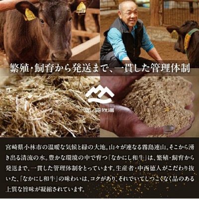 宮崎県西ノ原牧場・なかにしプレミアム和牛シャトーブリアン 400g(E130)(小林市)