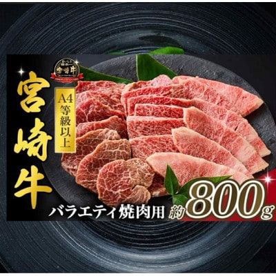 【西ノ原牧場直送】大人気!A4等級以上宮崎牛バラエティ焼肉用　約800g(A240-2)(小林市)