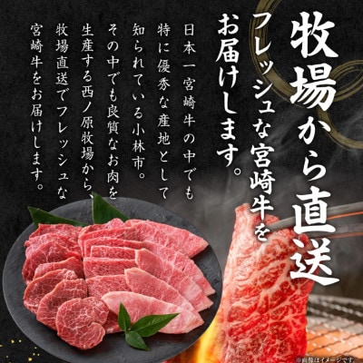 【西ノ原牧場直送】大人気!A4等級以上宮崎牛バラエティ焼肉用　約800g(A240-2)(小林市)