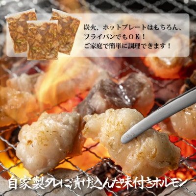 肉屋で人気の宮崎県産黒毛和牛濃厚味付けホルモン900g(小林市)(C223)