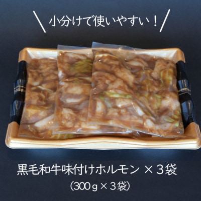 肉屋で人気の宮崎県産黒毛和牛濃厚味付けホルモン900g(小林市)(C223)