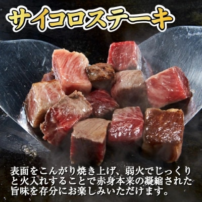 宮崎和牛 赤身焼肉 & 赤身サイコロステーキセット 計1kg(小林市)(DAS039)