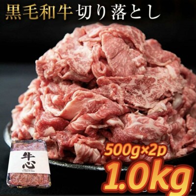 【人気精肉店からお届け】小林市産 黒毛和牛 切り落とし 1kg(小林市)(E183)