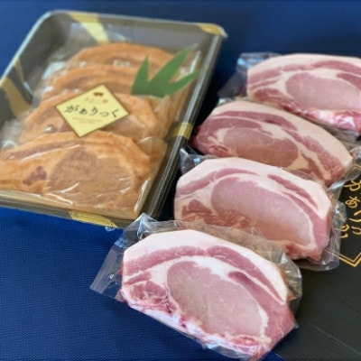【精肉屋さん直送】宮崎県産ホエー豚味噌漬け&ローストンテキセット 計8枚(DAS089)