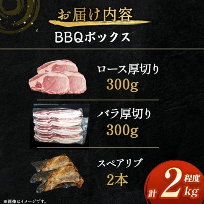 ひなた宮崎ホエー豚BBQボックス 計約2kg(F071)