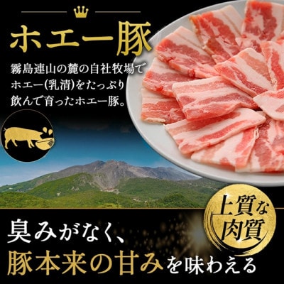 ひなた宮崎ホエー豚BBQボックス 計約2kg(F071)
