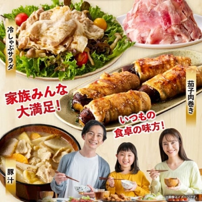 ひなた宮崎ホエー豚スライスと小間切れのお楽しみセット【B】1.7kg(F038)