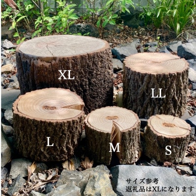 【さとふる限定】クヌギ薪割り台　直径35～39cm　一点もの　: XL‐02