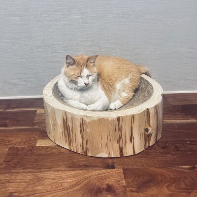 【さとふる限定】杉の切り株　猫の爪とぎフレーム　S