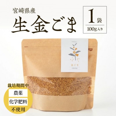 【栽培期間中 農薬・化学肥料不使用】生金ごま 100g