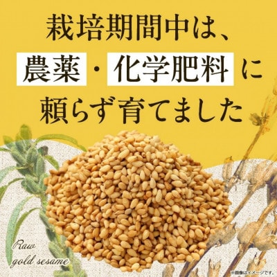 【栽培期間中 農薬・化学肥料不使用】生金ごま 100g