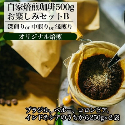 【オリジナル焙煎】自家焙煎珈琲500g お楽しみセット(粉)B