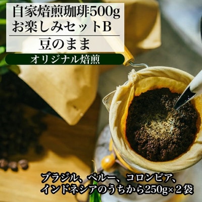 【オリジナル焙煎】自家焙煎珈琲500g お楽しみセット(豆)B