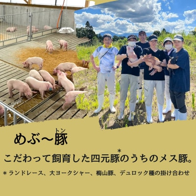 宮崎県産めぶ～豚 豚ミンチ 4.4kg (真空パック200g×22袋)