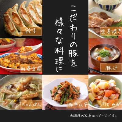 宮崎県産めぶ～豚 4種バラエティセット 1.6kg (真空パック9袋)