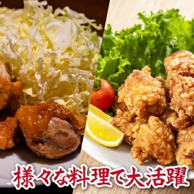 宮崎県産若鶏肩肉3kgセット(300g×10P)(小林市)