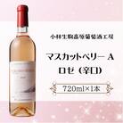 【高原のフレッシュワイン】マスカットベリーA(ロゼ・辛口)