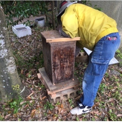 霧島地蜜　120g×2個