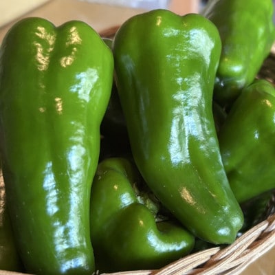 宮崎県小林市須木産ピーマン　4.5kg