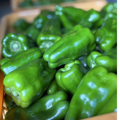 宮崎県小林市須木産ピーマン　4.5kg