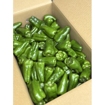 宮崎県小林市須木産ピーマン　4.5kg