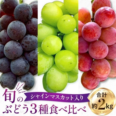 【もぎたて直送】シャインマスカット・旬のぶどう 3種 食べ比べ アソート 計約2kg(E077)