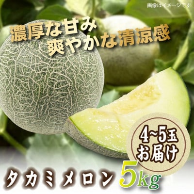 【2026年発送 先行予約】生産農家応援・もぎたて直送 タカミメロン 約5kg(E309)