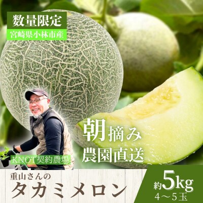 【2026年発送 先行予約】生産農家応援・もぎたて直送 タカミメロン 約5kg(E309)