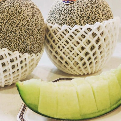 【2026年発送 先行予約】生産農家応援・もぎたて直送 タカミメロン 約5kg(E309)