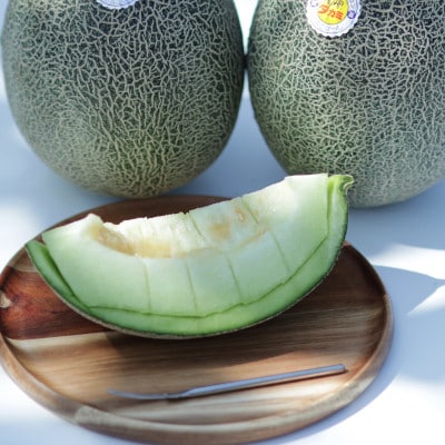 【2026年発送 先行予約】生産農家応援・もぎたて直送 タカミメロン 約5kg(E309)